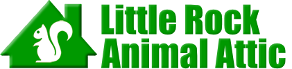 Little Rock Animal Attic